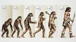 How Did Humans Evolve? - HISTORY