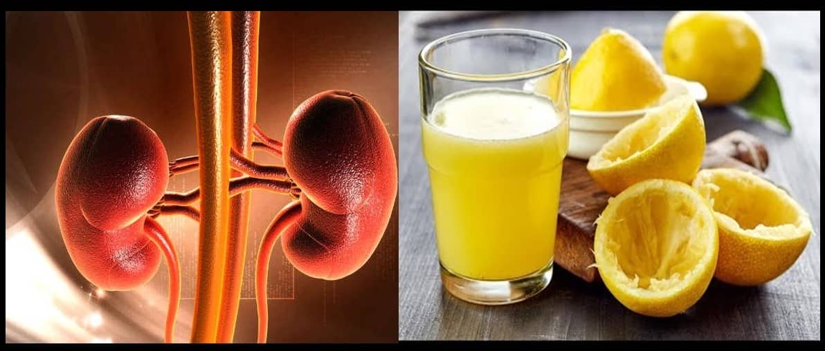 is-lemon-water-good-for-kidneys-letsdiskuss