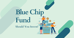 What is Blue Chip Fund? - Insiderpedia