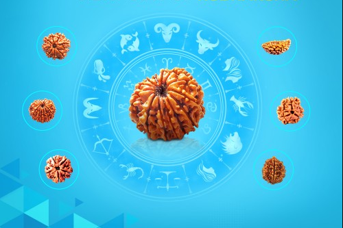 What is Criteria of Selection of Rudraksh Beed as per Astrology? - Letsdiskuss