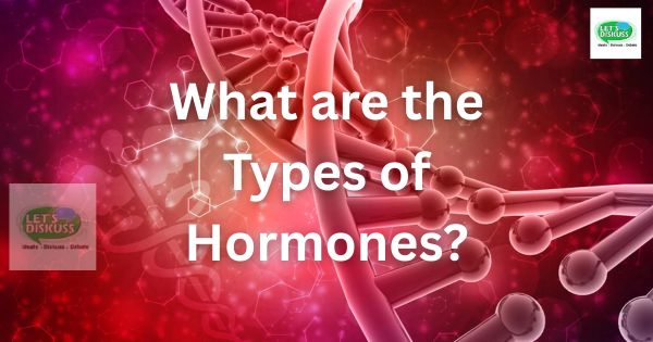 What are the Types of Hormones? - Letsdiskuss