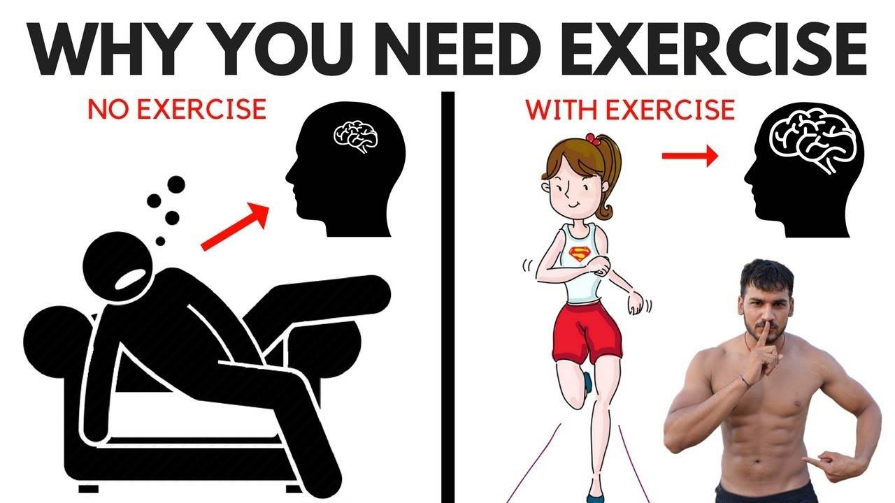 व्यायाम के फायदे 