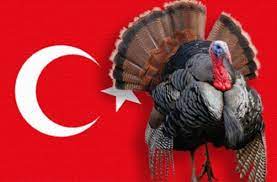  turkey