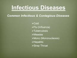 What are common infectious diseases? - letsdiskuss