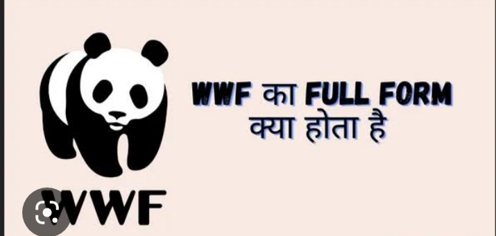 WWF का FULL FORM क्या होता है ? और WWF क्या है
