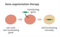 Gene therapy