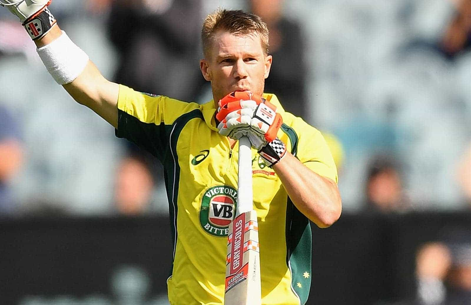 david warner