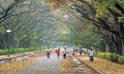 Cubbon Park