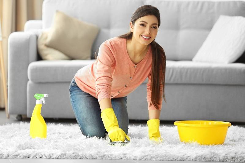 How Can A Carpet Cleaning Professional Benefit My Family?