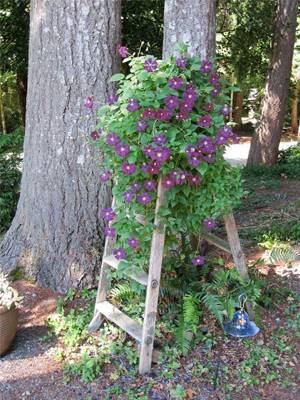  Self Watering Flower Tower