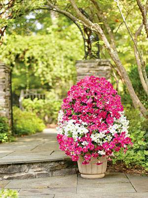  Self Watering Flower Tower