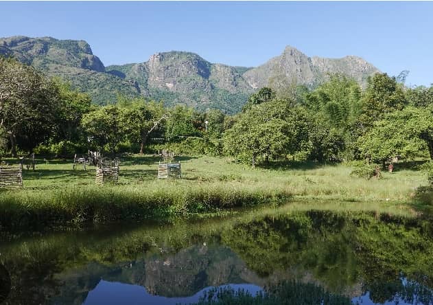 सिगुर पठार कहाँ है?