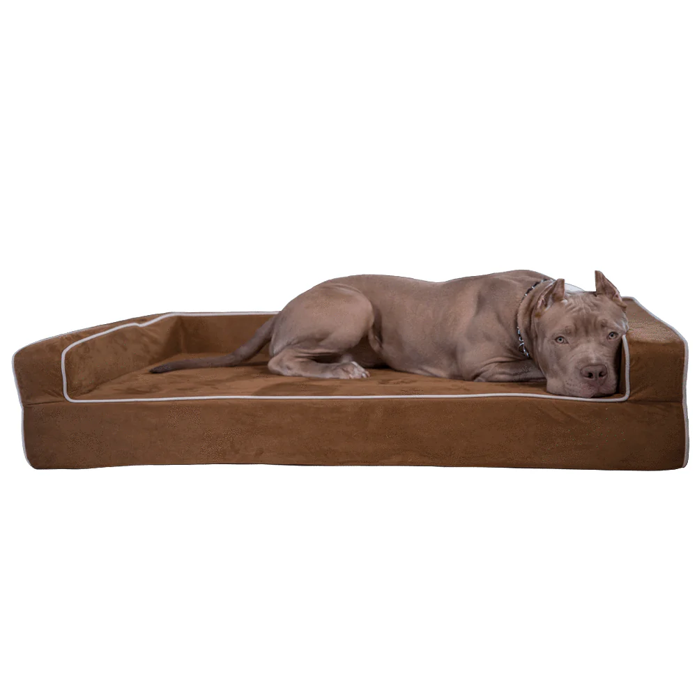 Luxury Lounging: Finding the Perfect Dog Beds for Large Dogs