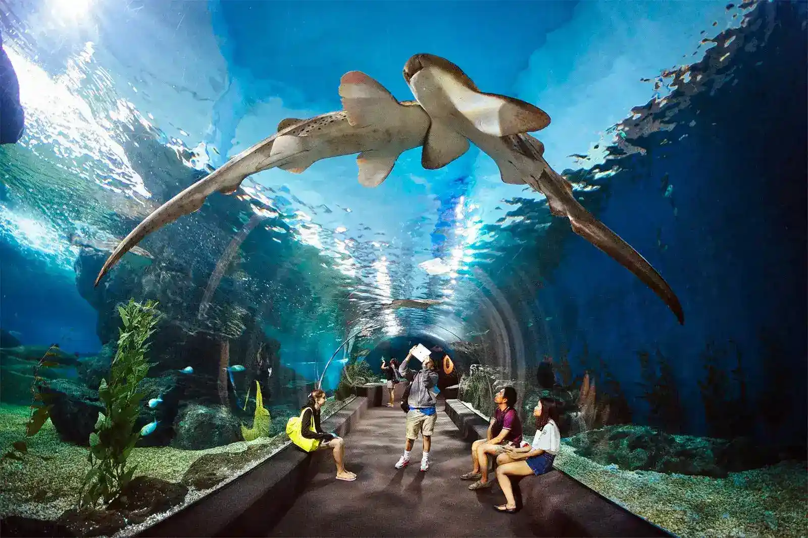 What are the top attractions in Pattaya?