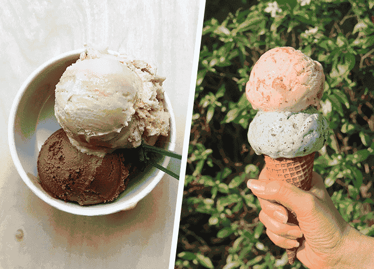 Custard vs. Ice Cream: Key Differences Explained