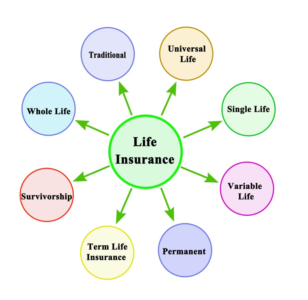 Popular Types of Life Insurance Schemes in India