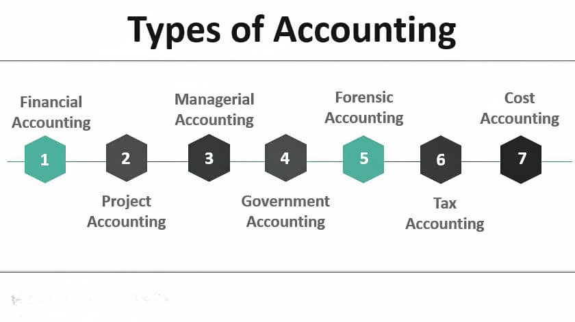 What are the Different Types of Accounting? - Letsdiskuss