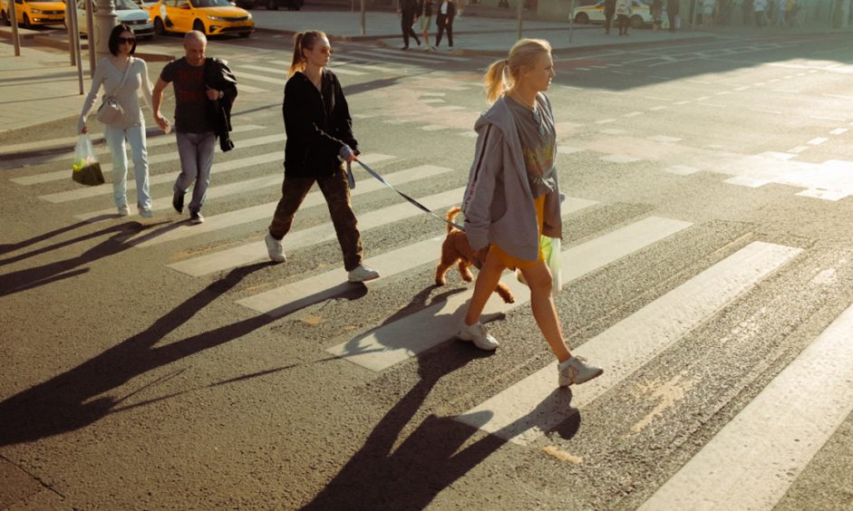 Distracted Drivers: A Nightmare for  Pedestrians 