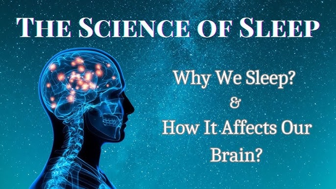 The Science of Sleep: How It Affects Your Brain and Body