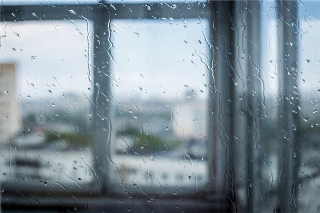 Storm Proof Your Home: 8 Tips on Getting the Right Hurricane Windows - Letsdiskuss