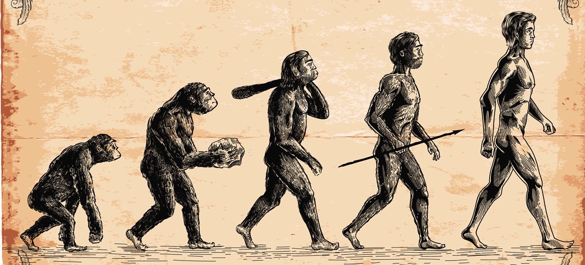 10 Fascinating Facts About Human Evolution You Didn’t Know