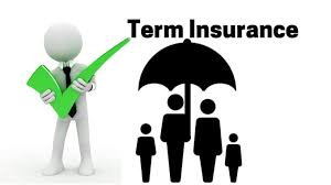The Significance of Renewability in Term Insurance Plans