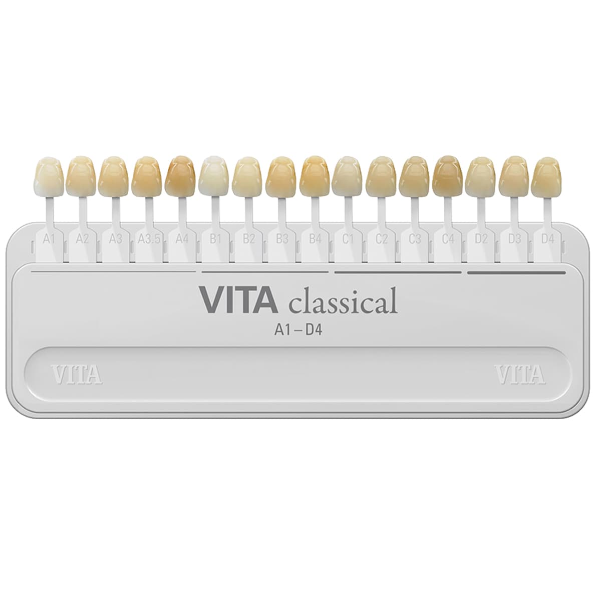 Vita